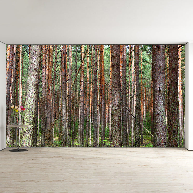 Horizontal Photography Forest Landscapes Mural Eco-friendly Wallpaper for Wall Decor