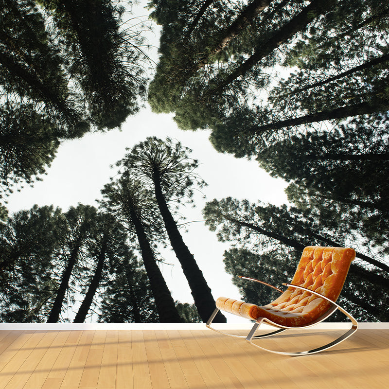 Horizontal Photography Forest Landscapes Mural Eco-friendly Wallpaper for Wall Decor