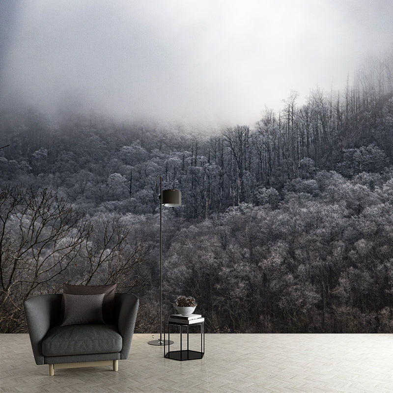 Eco-friendly Forest Landscapes Mural Photography Wallpaper for Home