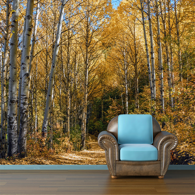 Eco-friendly Forest Landscapes Mural Photography Wallpaper for Home