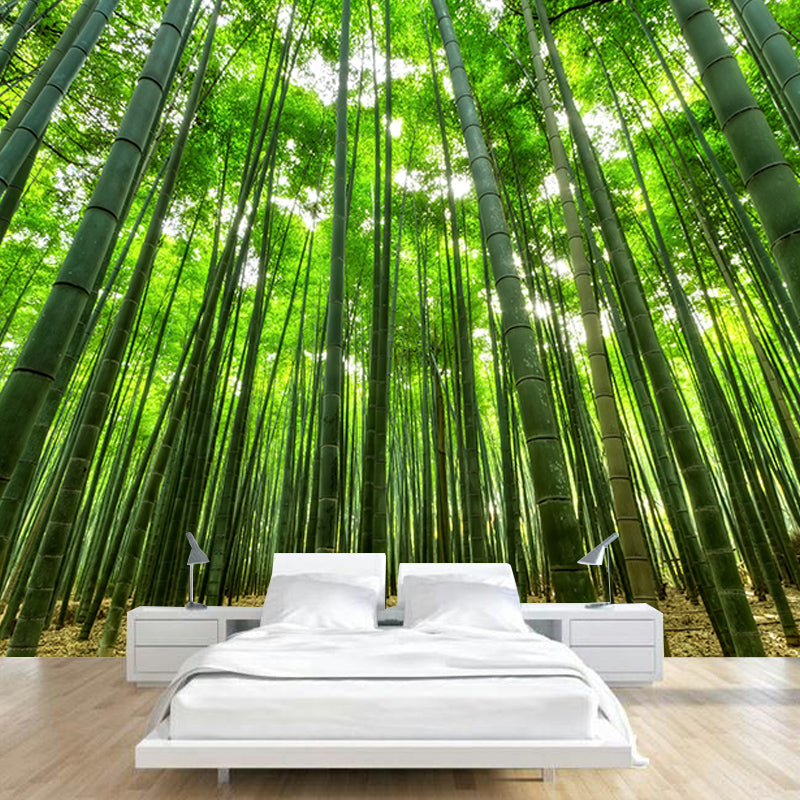 Forest Mildew Resistant Mural Wallpaper Sleeping Room Wall Mural