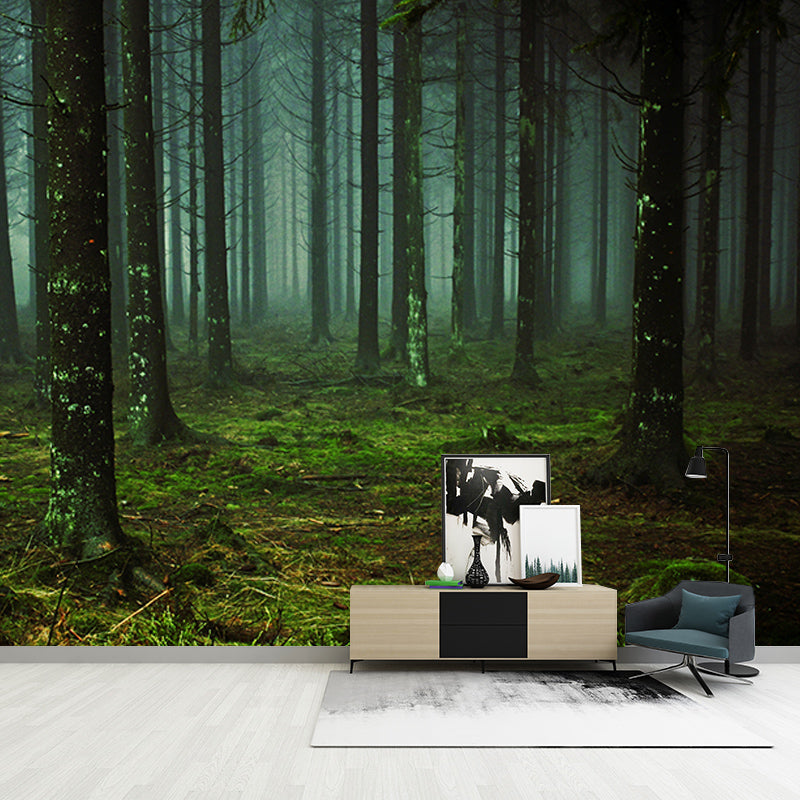 Beautiful Photography Mural Wallpaper Forest Indoor Wall Mural