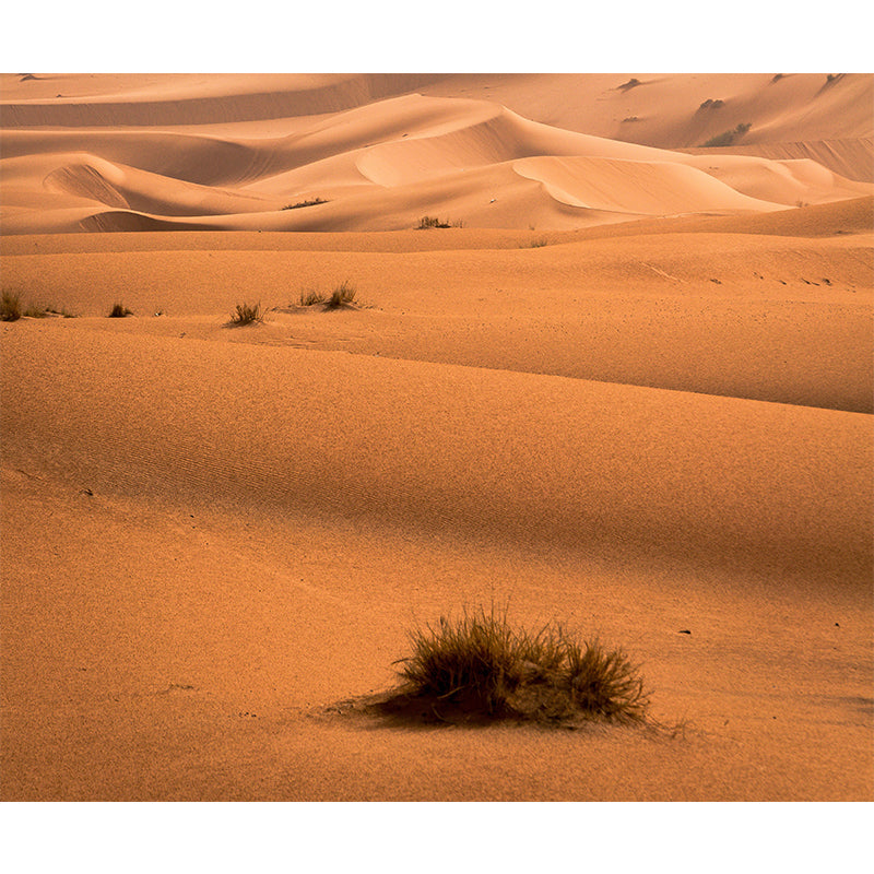 Mildew Resistant Wall Endless Desert Wallpaper Home Wall Mural