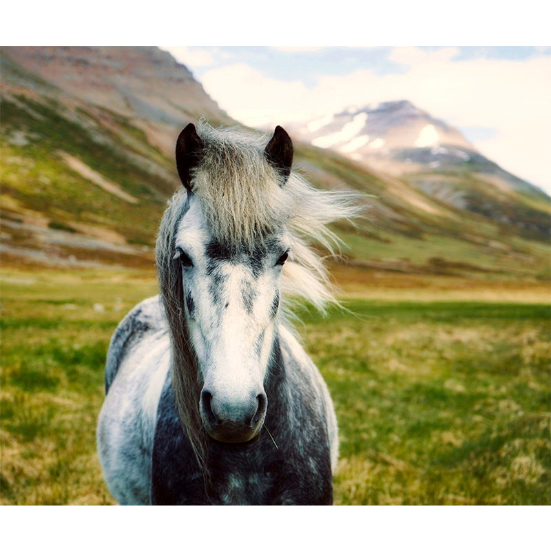 Rat Print Mildew Resistant Wall Mural Wild Animal Wallpaper Indoor Wall Mural