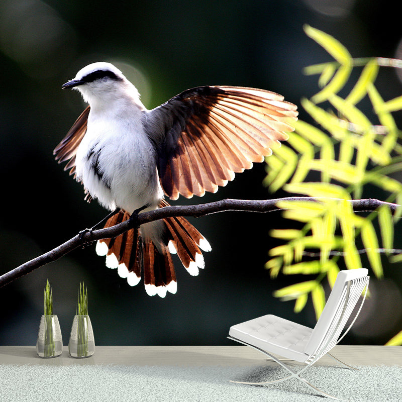 Parrot Print Mildew Resistant Wall Mural Wild Animal Wallpaper Sleeping Room Wall Mural