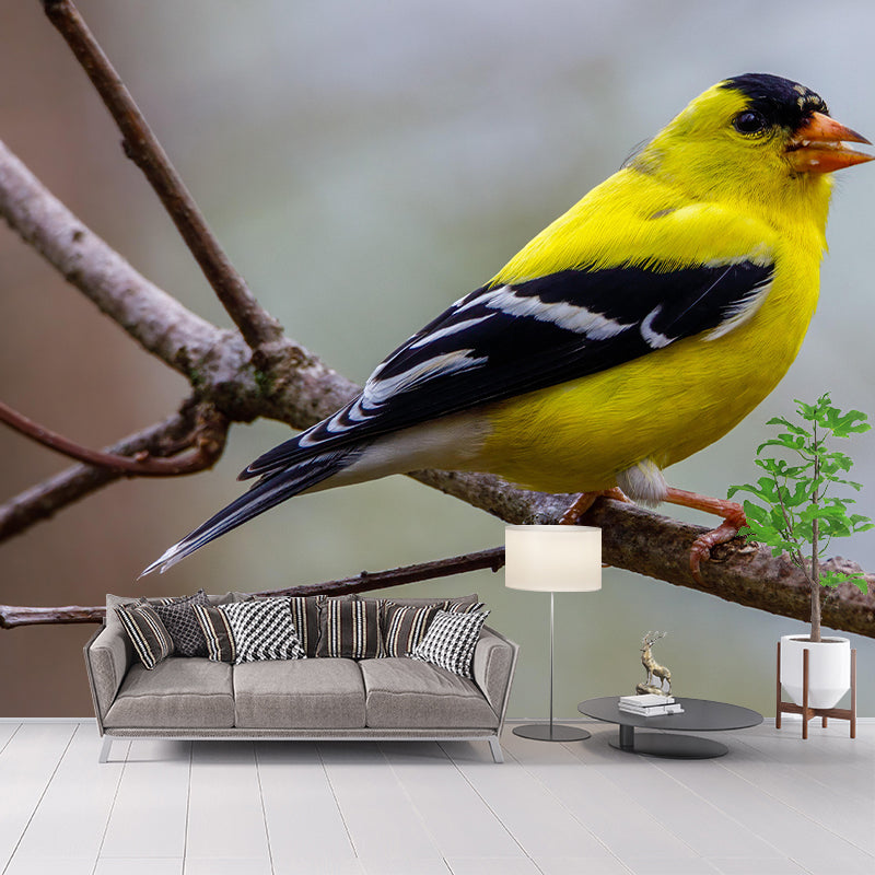 Bird Mildew Resistant Wall Mural Wild Animal Wallpaper Sitting Room Wall Mural