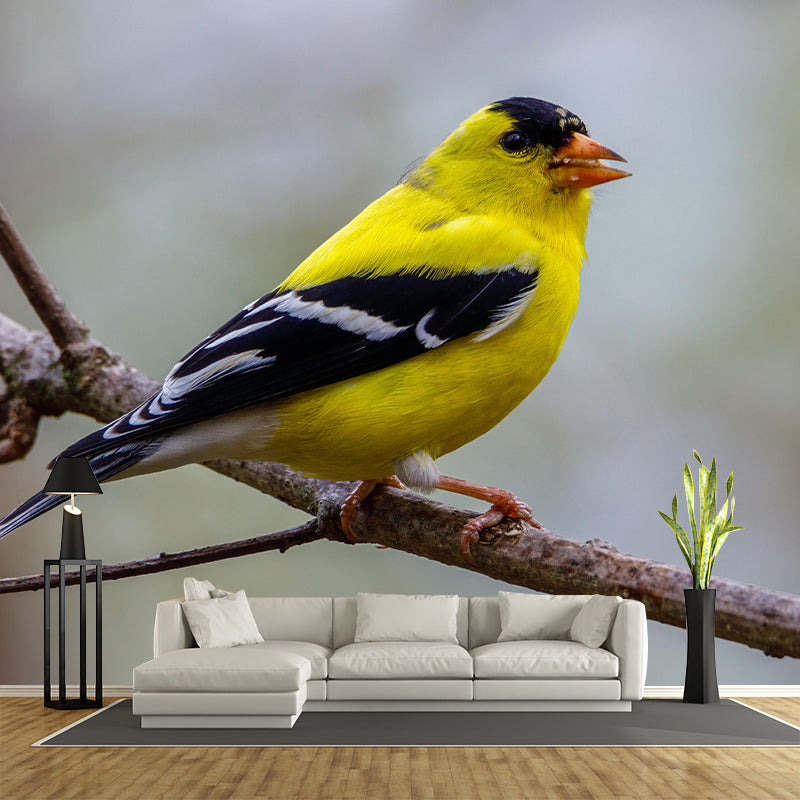 Bird Mildew Resistant Wall Mural Wild Animal Wallpaper Sitting Room Wall Mural