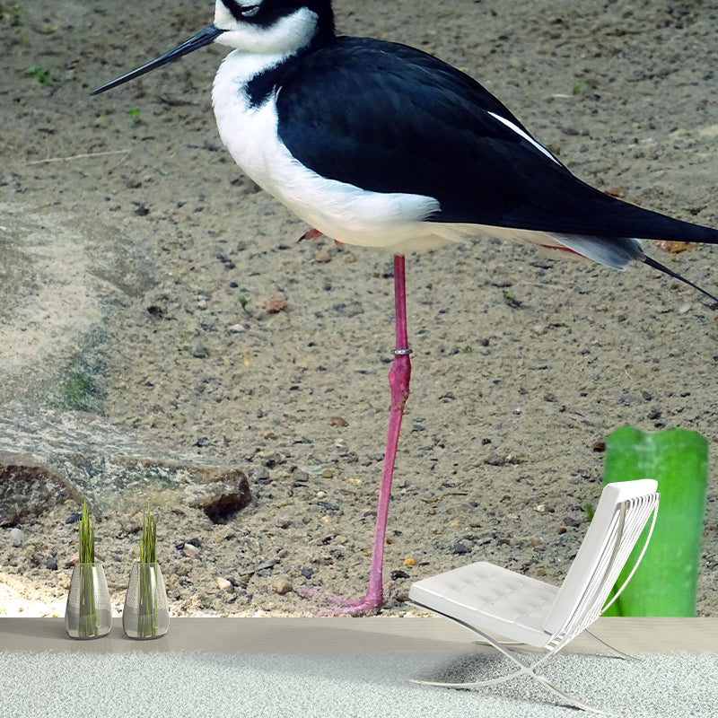 Wild Animal Print Mildew Resistant Wall Mural Wallpaper Bedroom Wall Mural