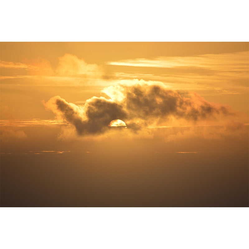 Fancy Sky Wall Mural Wallpaper Photography Mildew Resistant for Living Room