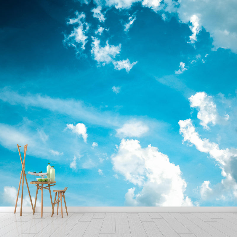 Modern Style Sky Wall Mural Wallpaper Photography Mildew Resistant Wall Covering