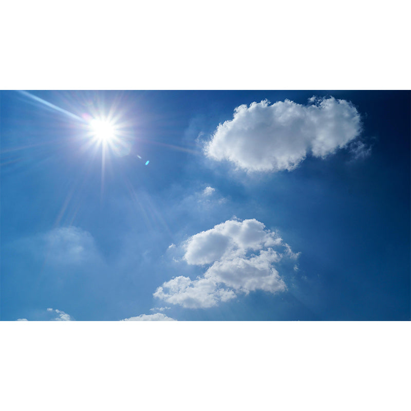 Vivid Nature Style Sky Wall Mural Wallpaper Photography Mildew Resistant for Home