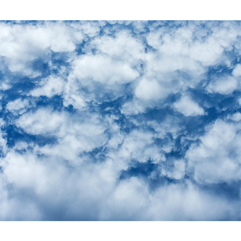 Cloud Sky Scene Sky Wall Mural Wallpaper Photography Mildew Resistant for Wall Decor