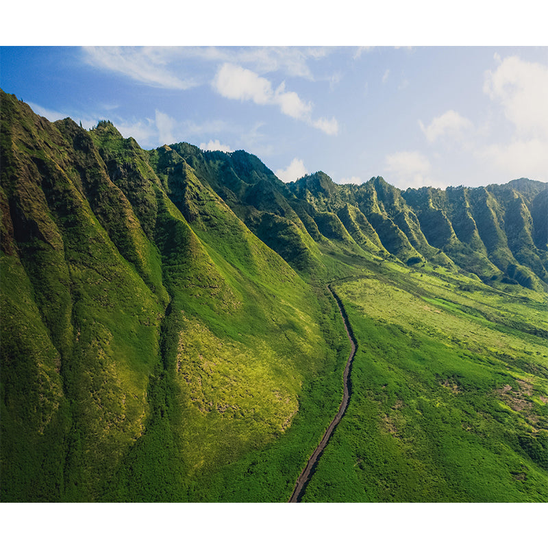 Snow Scene Style Mountain Wall Mural Wallpaper Photography Mildew Resistant Wall Covering