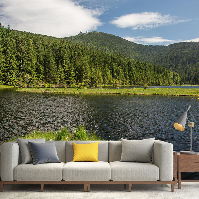 Natural Scenery Forest Wall Mural Wallpaper Photography Mildew Resistant for Sitting Room