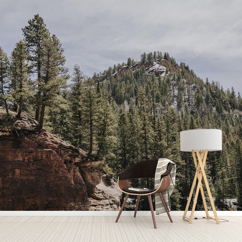 Natural Scenery Forest Wall Mural Wallpaper Photography Mildew Resistant for Sitting Room
