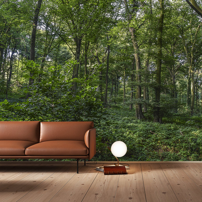 Mountain Forest Style Forest Wall Mural Wallpaper Photography Mildew Resistant for Bedroom