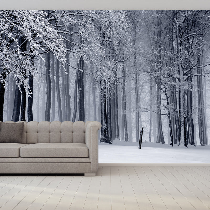 Sky Scene Style Forest Wall Mural Wallpaper Photography Mildew Resistant for Living Room