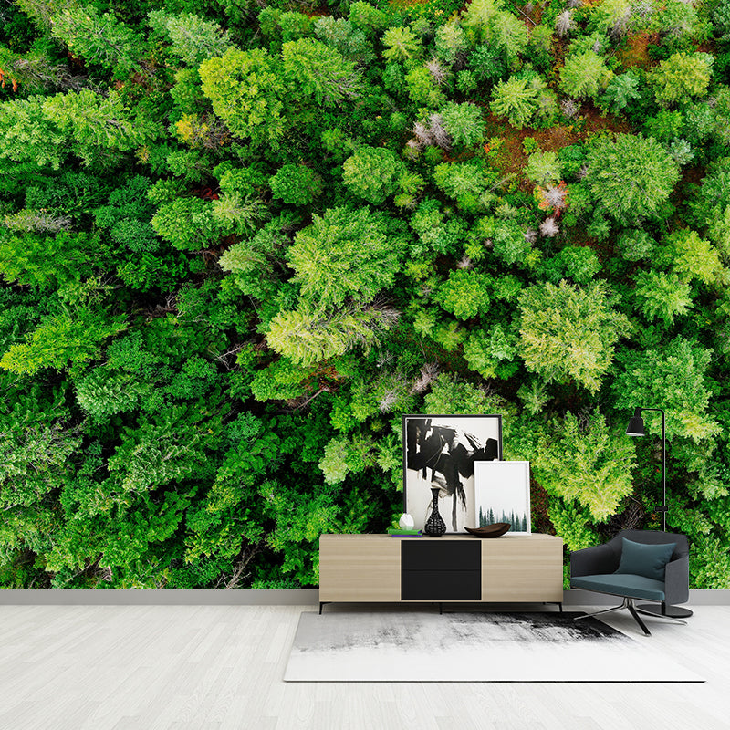Modern Style Forest Wall Mural Wallpaper Photography Mildew Resistant Wall Covering
