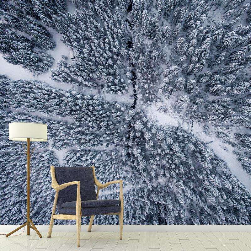 Modern Style Forest Wall Mural Wallpaper Photography Mildew Resistant Wall Covering