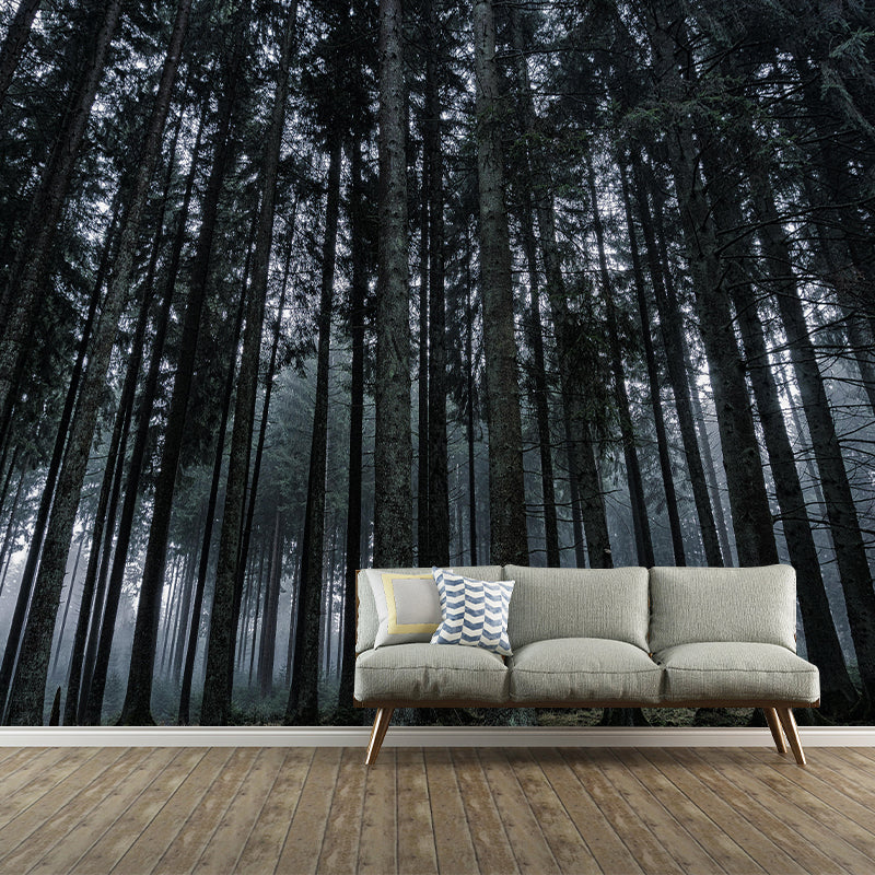Forest Scene Style Nature 3D Wall Mural Wallpaper Photography Mildew Resistant Wall Art