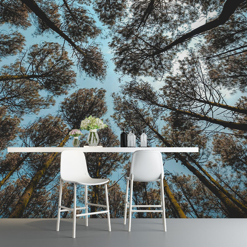 Forest Scene Style Nature 3D Wall Mural Wallpaper Photography Mildew Resistant Wall Art