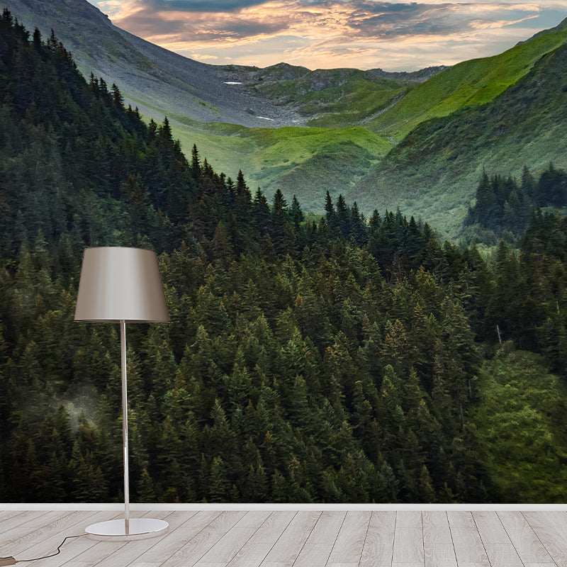 Forest Scene Style Nature 3D Wall Mural Wallpaper Photography Mildew Resistant Wall Art