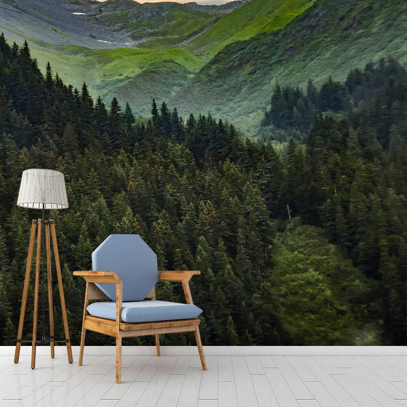 Forest Scene Style Nature 3D Wall Mural Wallpaper Photography Mildew Resistant Wall Art