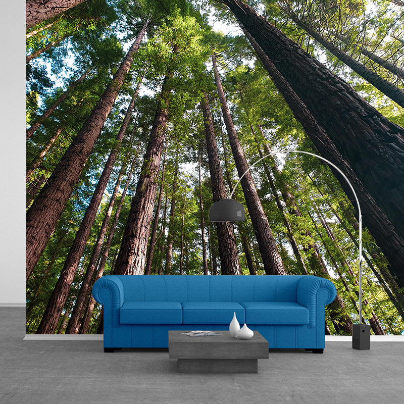 Vivid Scene Style Forest Wall Mural Wallpaper Photography Mildew Resistant for Decoration
