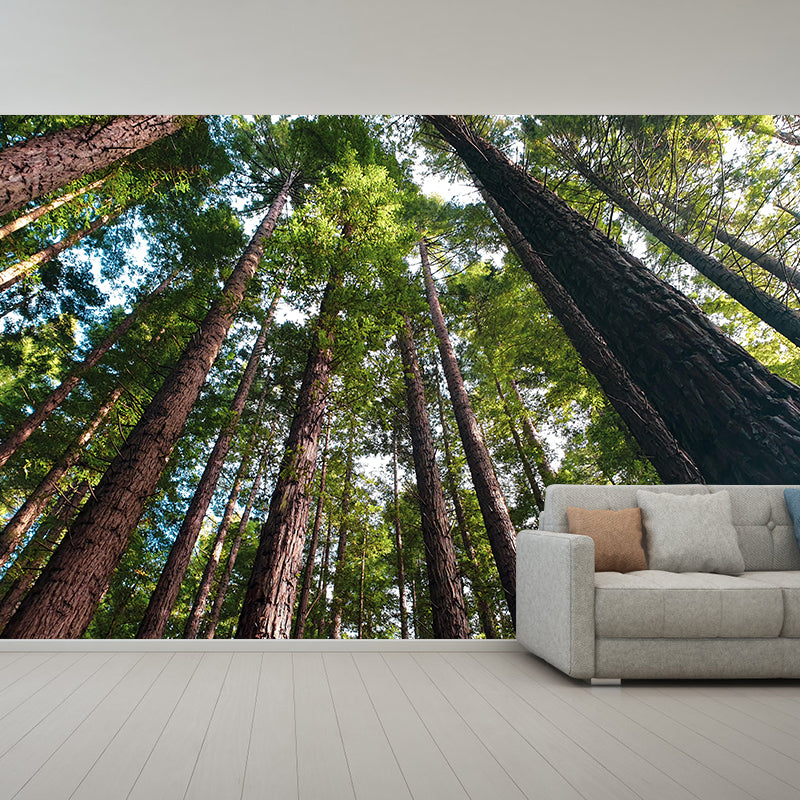 Vivid Scene Style Forest Wall Mural Wallpaper Photography Mildew Resistant for Decoration