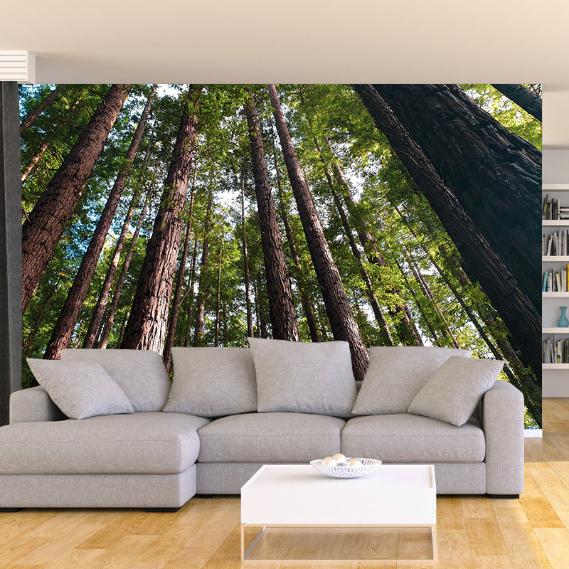 Vivid Scene Style Forest Wall Mural Wallpaper Photography Mildew Resistant for Decoration