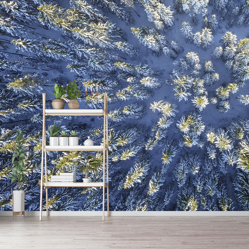 Fancy Scene Style Forest Wall Mural Wallpaper Photography Mildew Resistant for Room