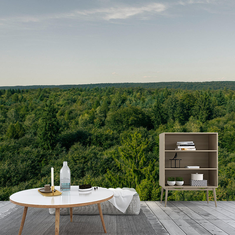 Modern Style Forest Wall Mural Wallpaper Photography Mildew Resistant for Wall Decor