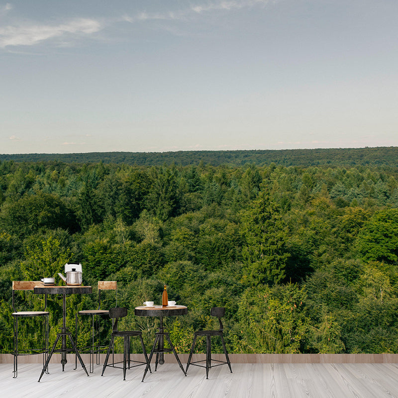 Modern Style Forest Wall Mural Wallpaper Photography Mildew Resistant for Wall Decor