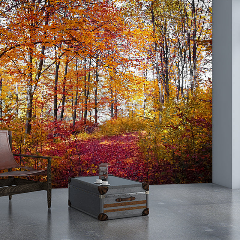 Modern Style Forest Wall Mural Wallpaper Photography Mildew Resistant for Wall Decor