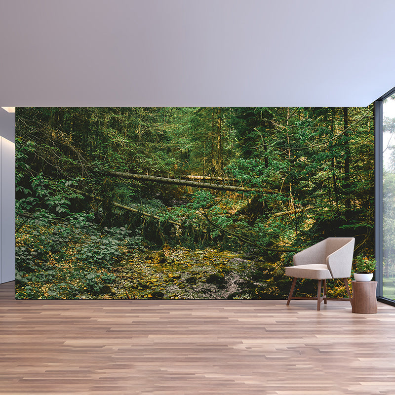 Nature Style Forest Wall Mural Wallpaper Photography Mildew Resistant for Home
