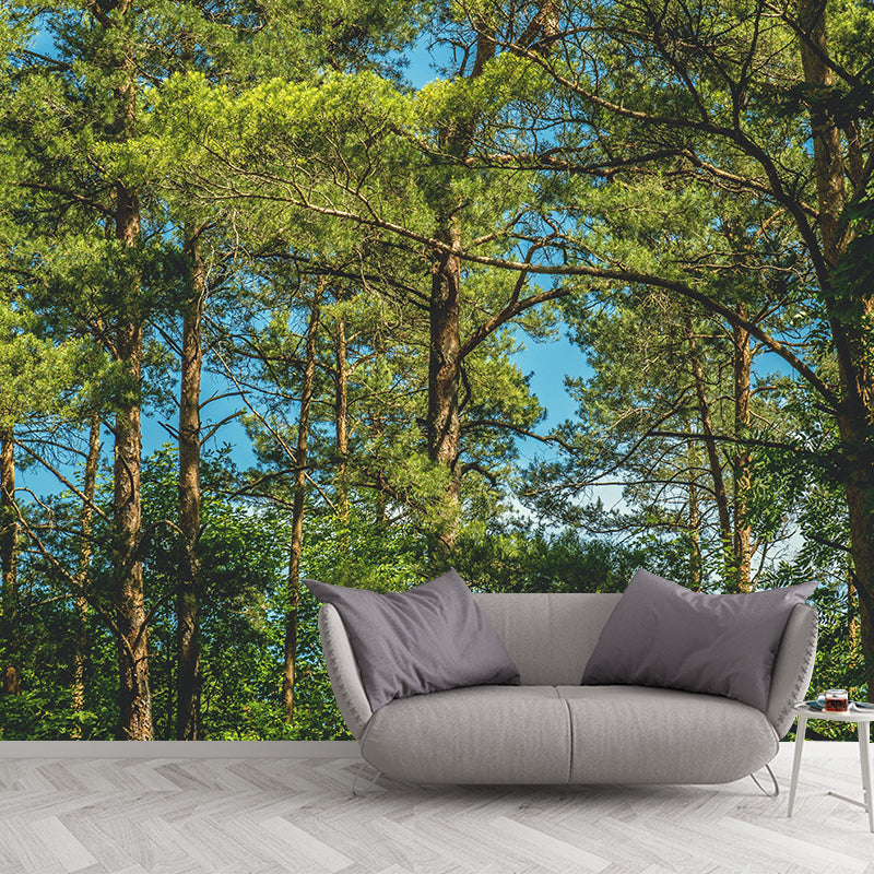 Nature Style Forest Wall Mural Wallpaper Photography Mildew Resistant for Home