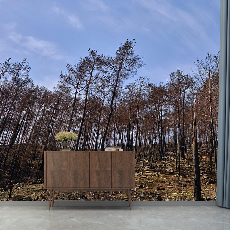 Nature Style Forest Wall Mural Wallpaper Photography Mildew Resistant for Home