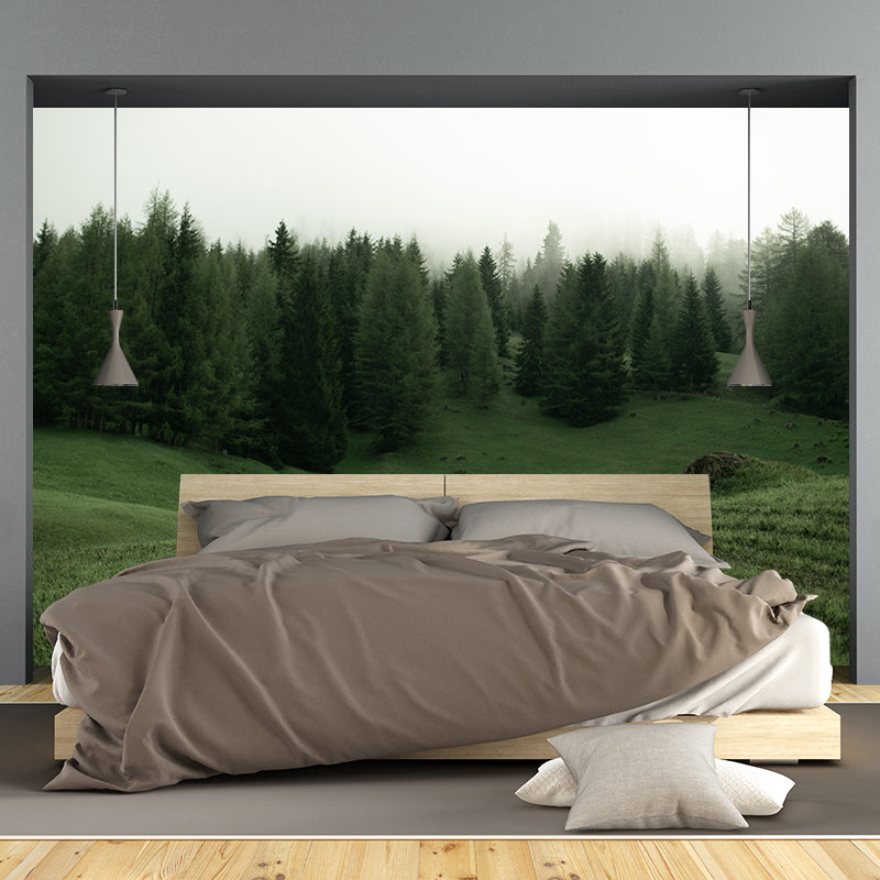 Modern Style Forest Wall Mural Wallpaper Photography Mildew Resistant for Home Decor