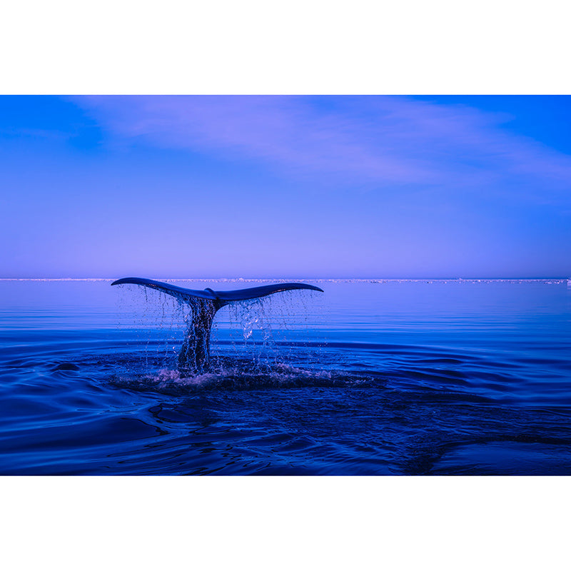 Washable Stain Resistant Mural Wallpaper Sea Indoor Wall Mural