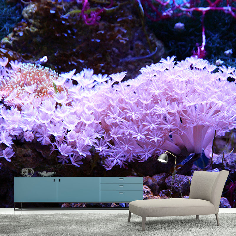 Decorative Photography Mural Wallpaper Marine Life Indoor Wall Mural