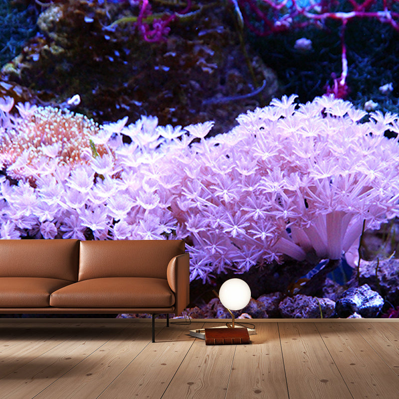 Decorative Photography Mural Wallpaper Marine Life Indoor Wall Mural