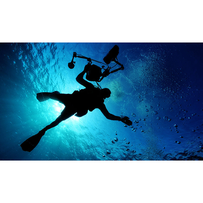 Eco-friendly Wall Mural Wallpaper Underwater World Sitting Room Wall Mural