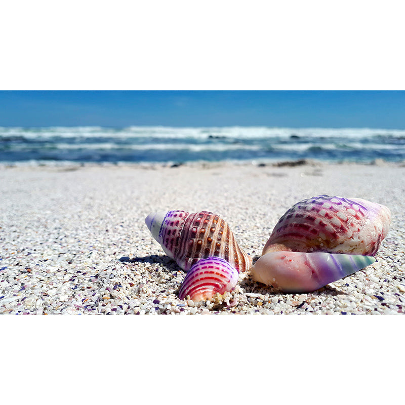 Beautiful Photography Mural Wallpaper Beach Indoor Wall Mural