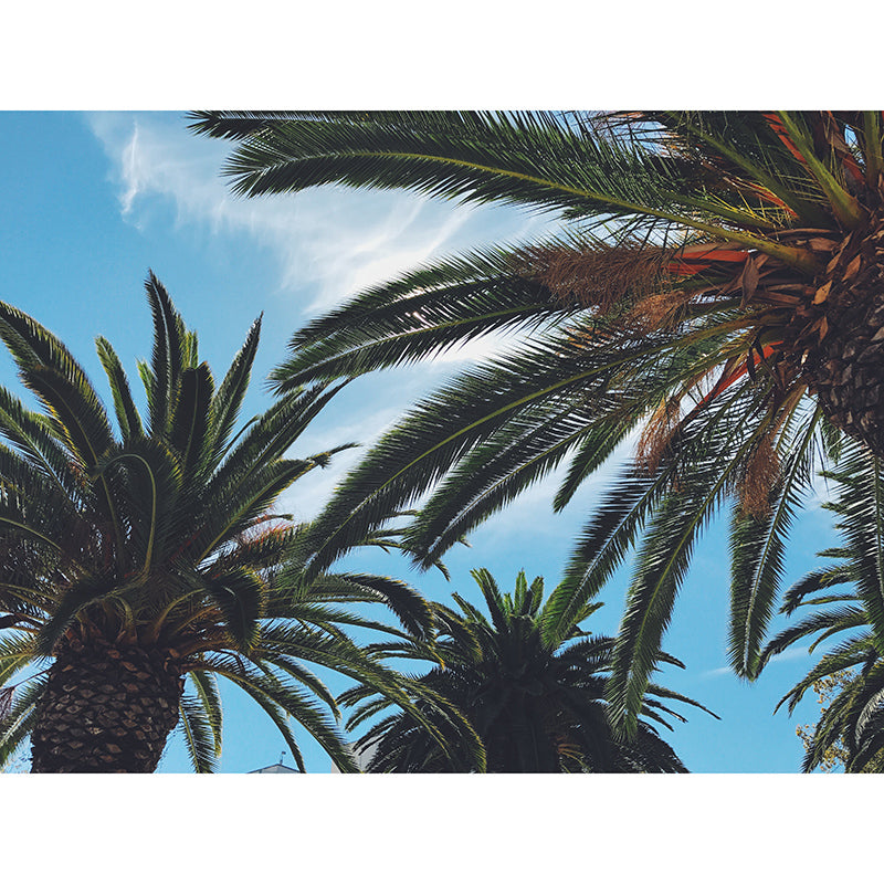 Decorative Wall Mural Wallpaper Tropical Scenery Sitting Room Wall Mural