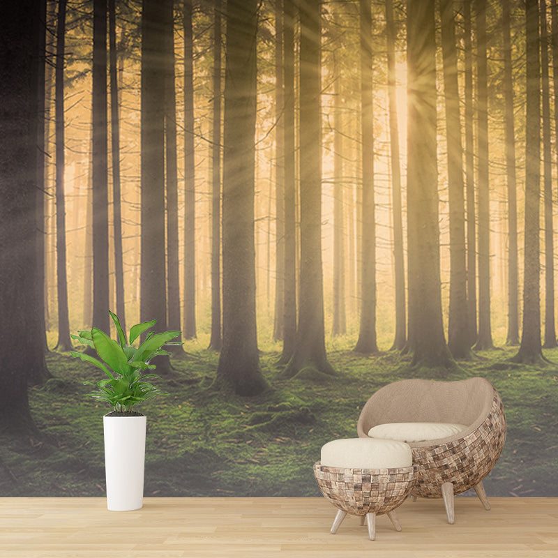 Washable Stain Resistant Mural Wallpaper Forest Indoor Wall Mural