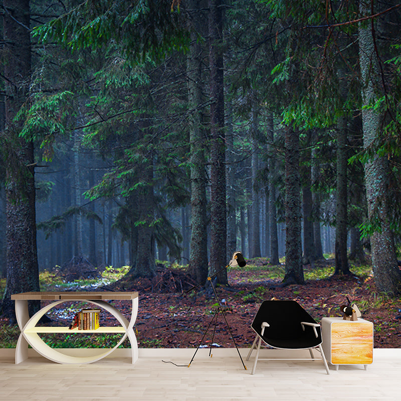 Forest Photography Mural Wallpaper Decorative Bedroom Wall Mural