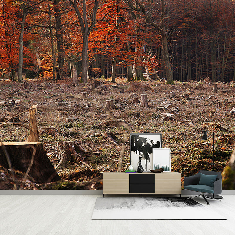 Forest Photography Mural Wallpaper Decorative Bedroom Wall Mural