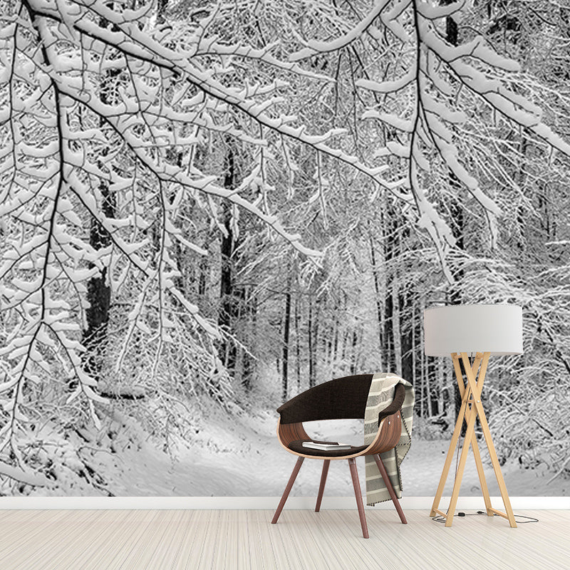 Forest Photography Mural Wallpaper Decorative Bedroom Wall Mural