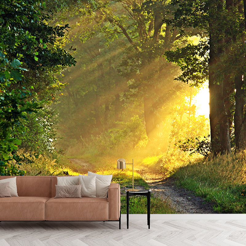 Environment Friendly Resistant Mural Wallpaper Forest Living Room Wall Mural