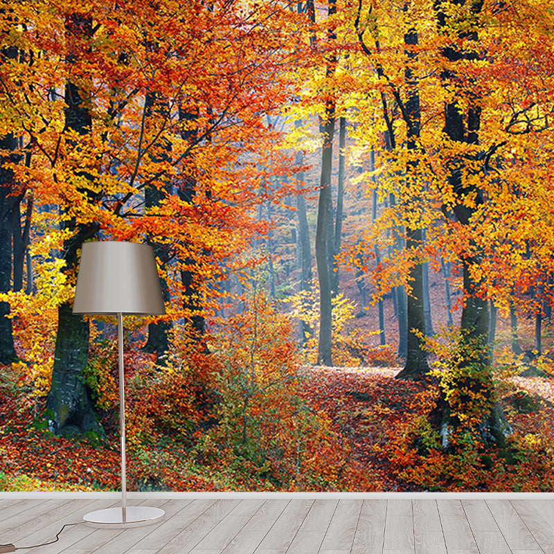 Photography Stain Resistant Wall Mural Wallpaper Forest Sitting Room Wall Mural